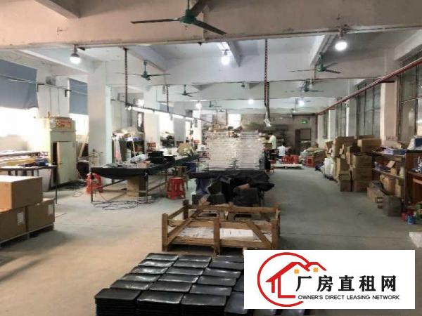  虎门南栅二区实业客分租楼上1600平带装修水电齐全