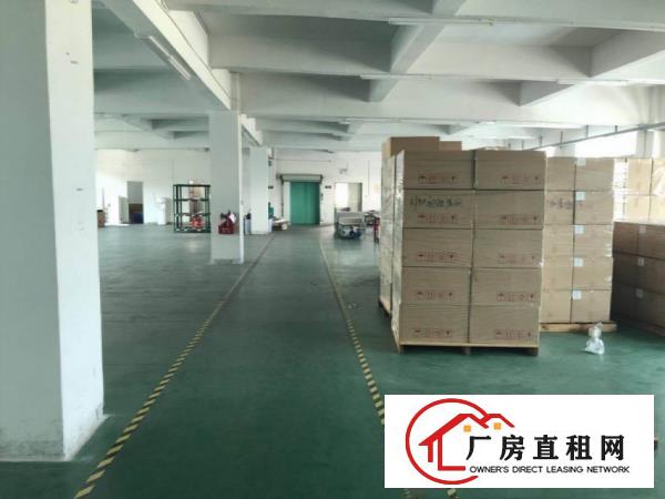  虎门北栅新出楼上1300平精装修厂房出租办公室水电齐全