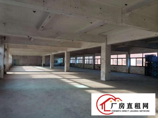  虎门树田工业区标准厂房4楼900平出租带办公室水电齐全