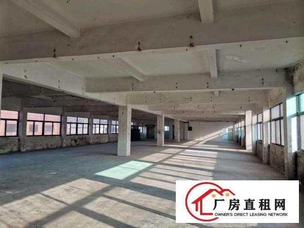 虎门树田工业区标准厂房4楼900平出租带办公室水电齐全