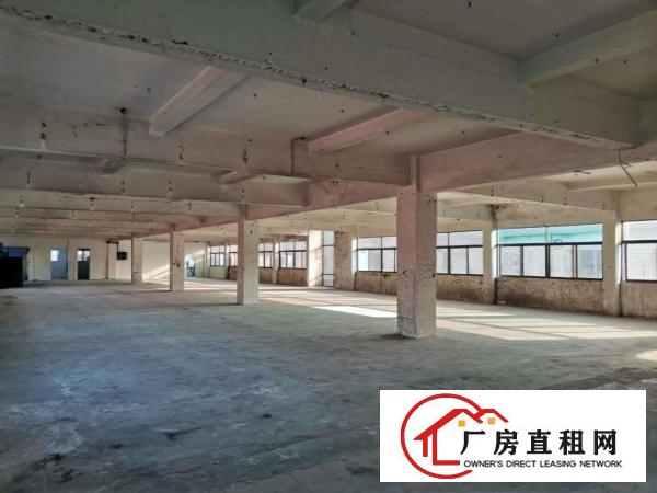  虎门树田工业区标准厂房4楼900平出租带办公室水电齐全