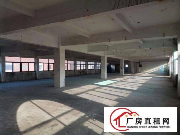  虎门树田工业区标准厂房4楼900平出租带办公室水电齐全