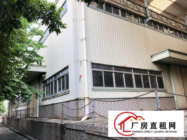  房东直租！实际面积！龙眼工业区1600平豪装1楼厂房出租！