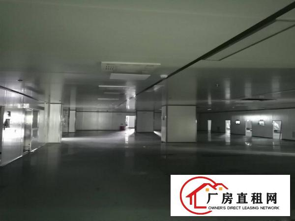  房东直租！实际面积！龙眼工业区1600平豪装1楼厂房出租！