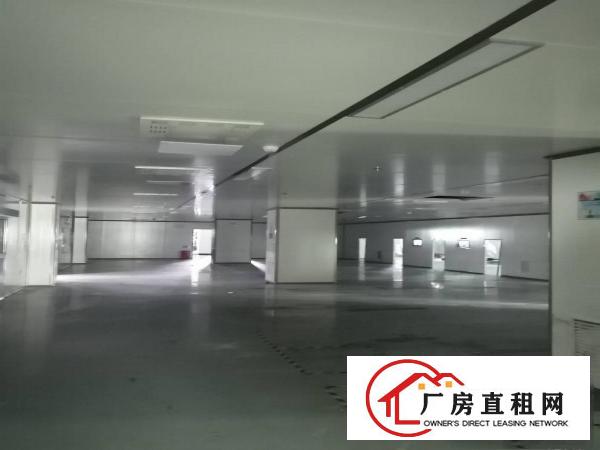  房东直租！实际面积！龙眼工业区1600平豪装1楼厂房出租！