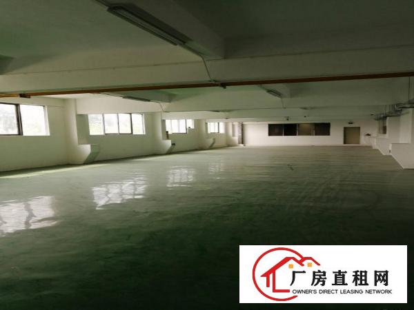  房东直租！实际面积！龙眼工业区1600平豪装1楼厂房出租！