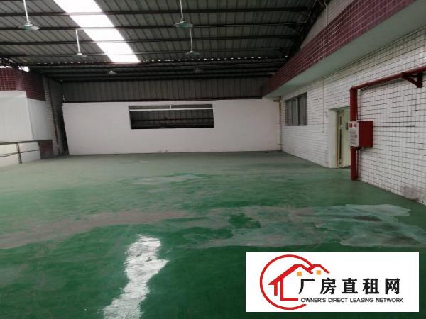  房东直租！实际面积！龙眼工业区1600平豪装1楼厂房出租！