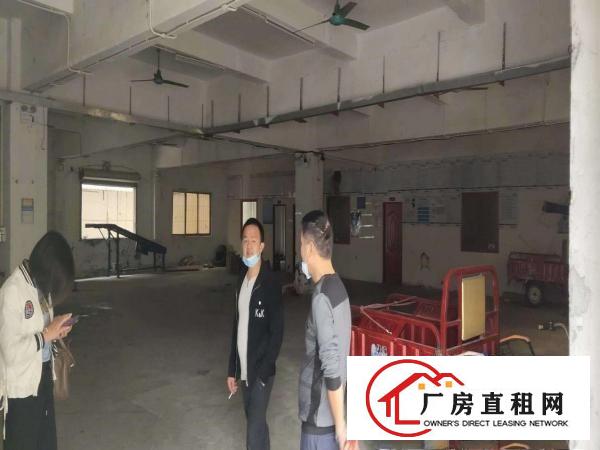  虎门龙眼一楼800平招租70平方主线到车间可办环评