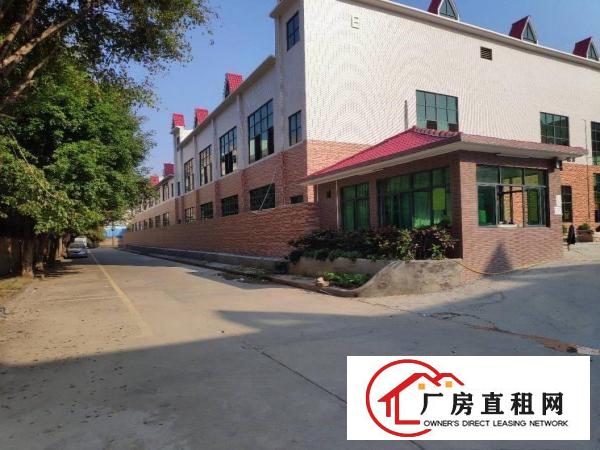  虎门新出豪华独栋厂房直租