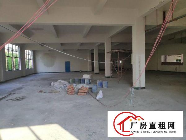  虎门新出豪华独栋厂房直租