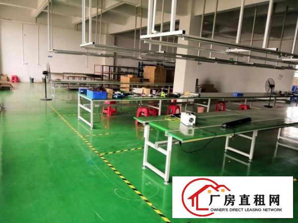  虎门雅瑶新空出2楼910平方厂房出租