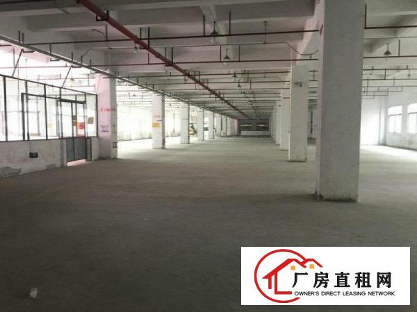  虎门可办环评厂房一楼750平方二楼1200方标准厂房分租