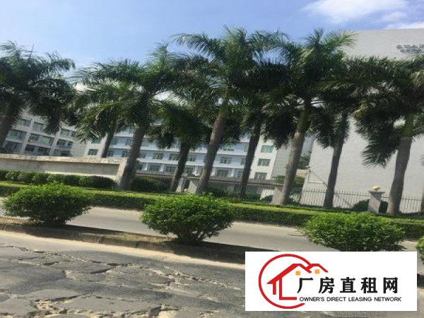  虎门可办环评厂房一楼750平方二楼1200方标准厂房分租