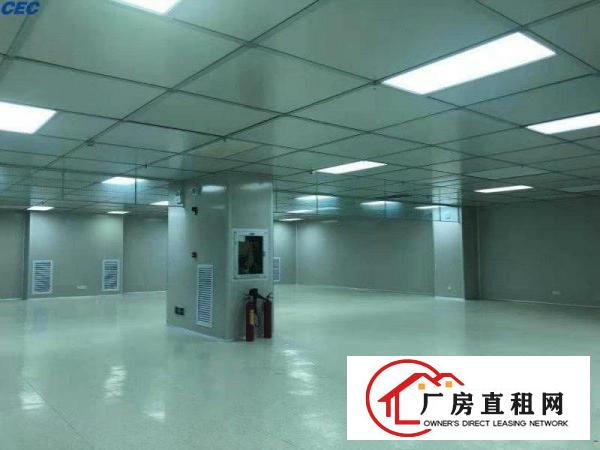  红本产权！万级无尘车间！5000平方豪华装修独院厂房出租啦！