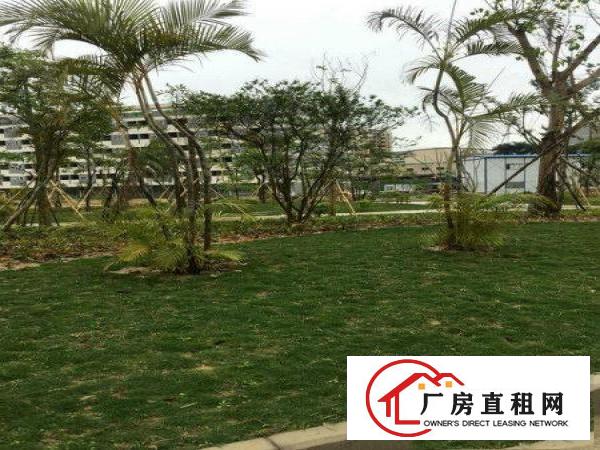  红本产权！万级无尘车间！5000平方豪华装修独院厂房出租啦！