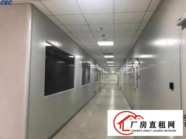  红本产权！万级无尘车间！5000平方豪华装修独院厂房出租啦！