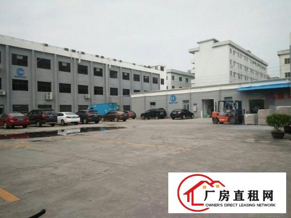  虎门怀德新出村委房子4楼900平方带装修水电齐全