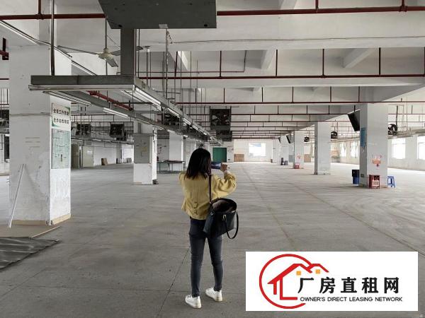  虎门怀德原房东厂房1楼800方实际面积可办环评仓库1000方