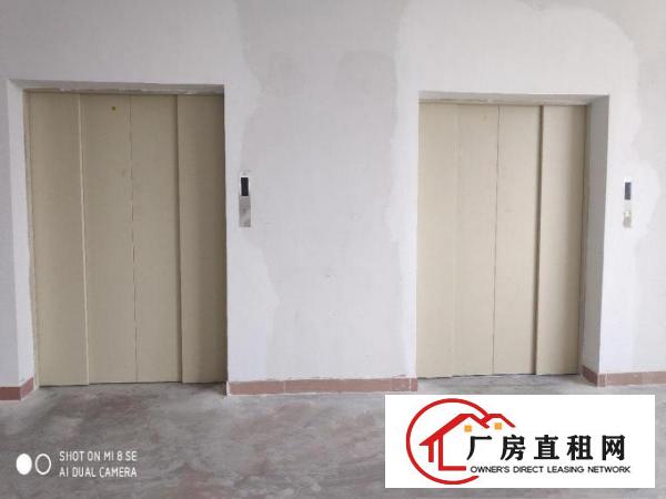  虎门南栅全新厂房招租