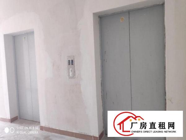  虎门南栅全新厂房招租