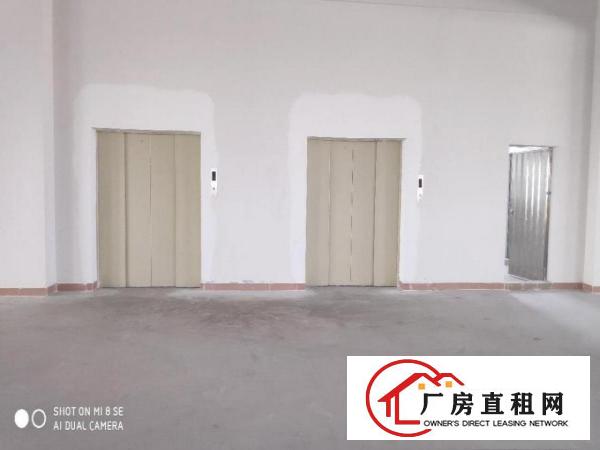  虎门南栅全新厂房招租