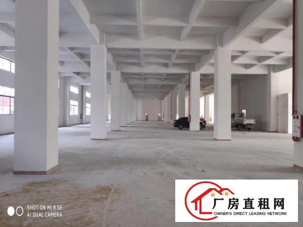  虎门南栅全新厂房招租