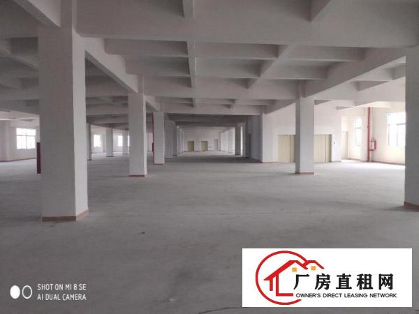  虎门南栅全新厂房招租