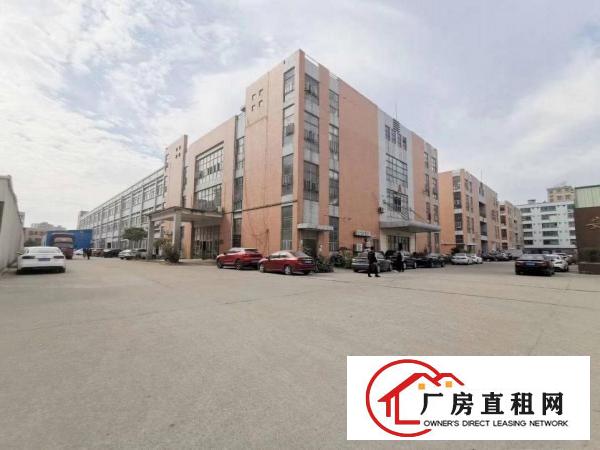  虎门北栅服装办公室321平方招租带精装修