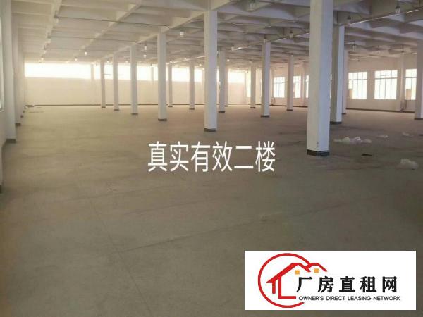  虎门原房东实际面积独门独院厂房急租