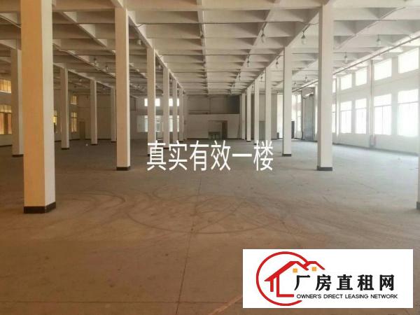  虎门原房东实际面积独门独院厂房急租