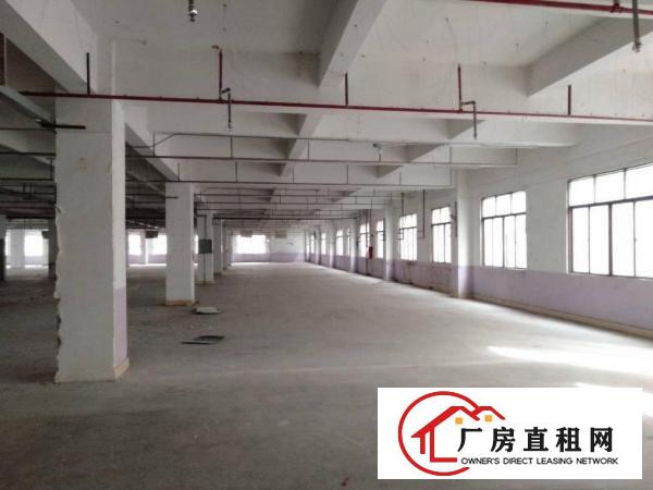  虎门白沙，水电齐全带消防喷淋高6米，环境优美发财好地方