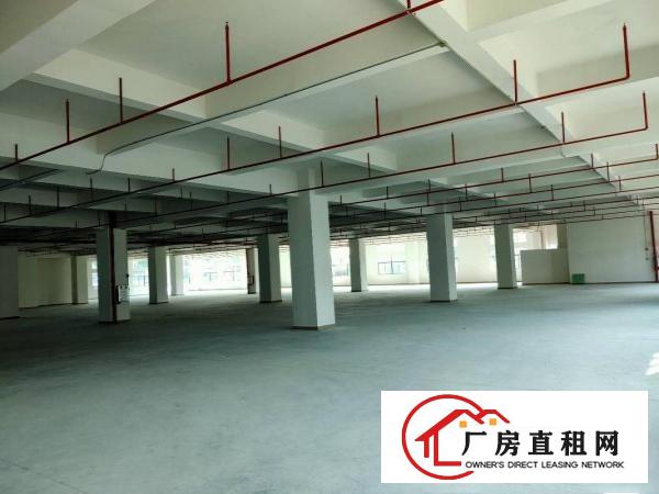  虎门怀德自建全新标准重工业厂房