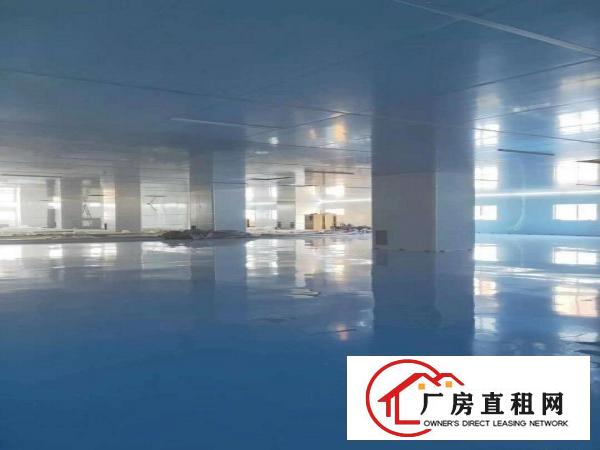  十万级无尘房6000平方厂房出租，东莞带环评