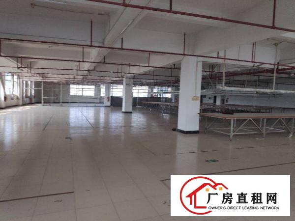  虎门镇沿江高速新出独门独院厂房招租