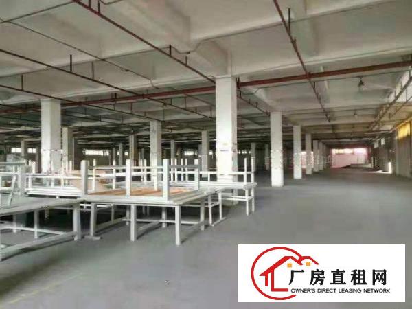  东莞市虎门镇原房东红本厂房出租，独院厂房招租