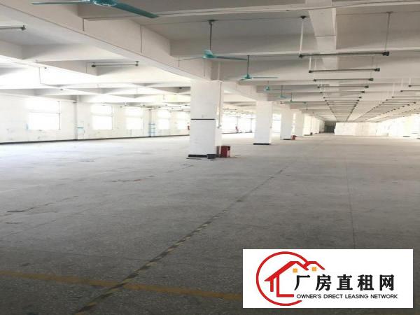  沿江高速出口精装修独院5200平出租啦