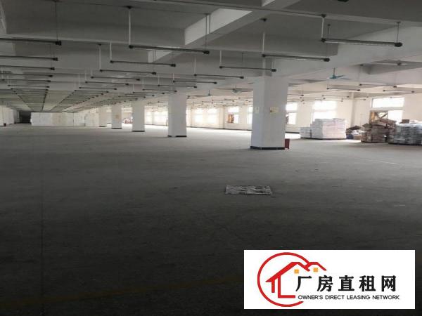  沿江高速出口精装修独院5200平出租啦