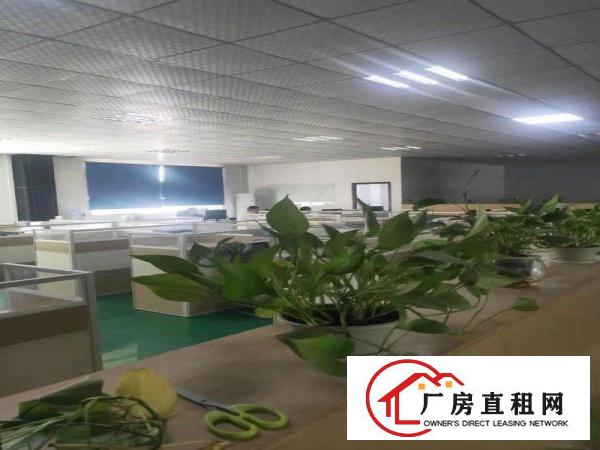  虎门一楼5000平厂房出租大小可分租价格便宜带红本