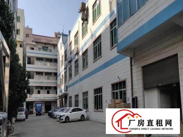  怀德工业区单一层砖墙到顶钢构1350平米招租