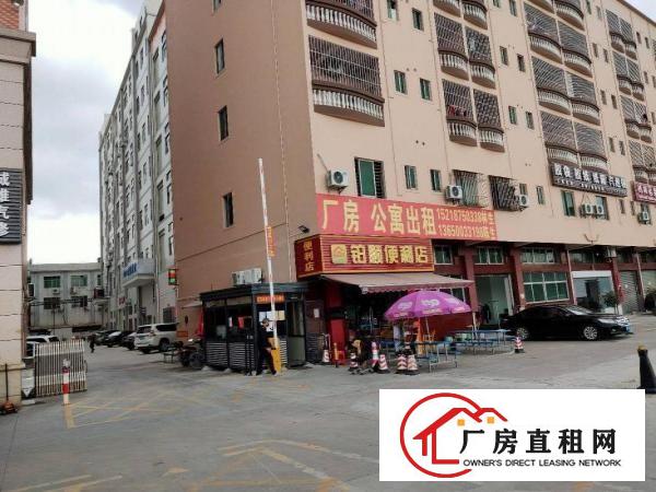  虎门靠长安自建重工业厂房欢迎各方老板莅临叁观指导。