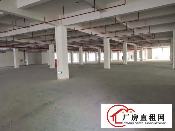  虎门靠长安自建重工业厂房欢迎各方老板莅临叁观指导。