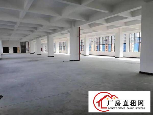  虎门南栅标准厂房整租，分租，可办环评，消防齐全