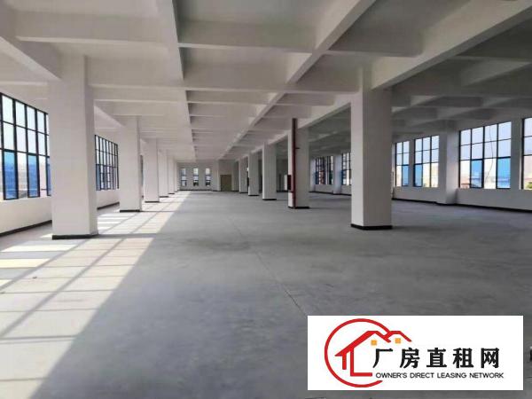  虎门南栅标准厂房整租，分租，可办环评，消防齐全