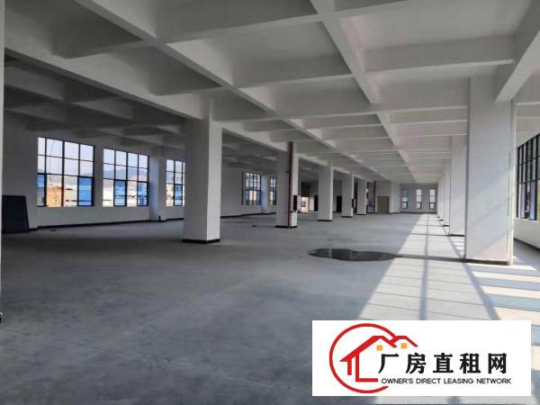  虎门南栅标准厂房整租，分租，可办环评，消防齐全