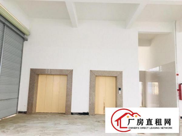  虎门南栅标准厂房整租，分租，可办环评，消防齐全