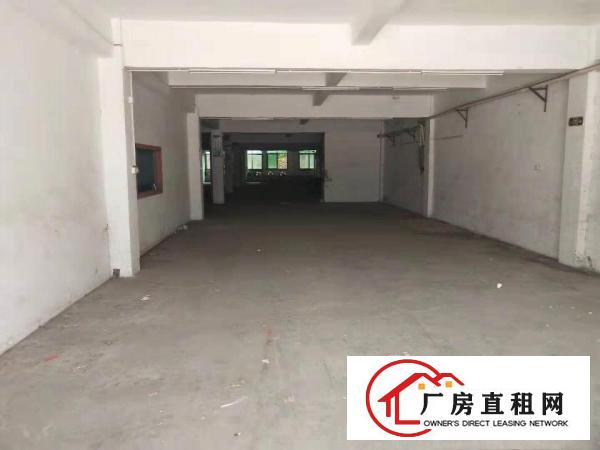  虎门新出！一楼330平米500平800平米多套厂房（带装修）