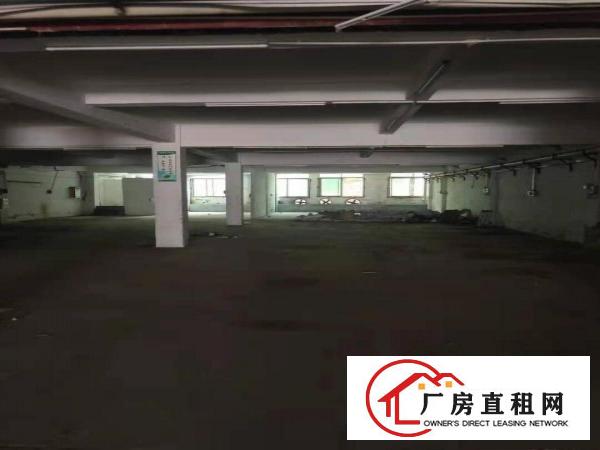  虎门新出！一楼330平米500平800平米多套厂房（带装修）