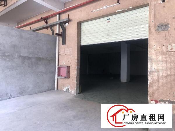  虎门新出！一楼330平米500平800平米多套厂房（带装修）