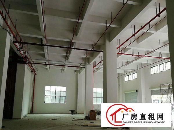  可办环评！实际面积！原房东1900平方层全新重工厂房出租啦！