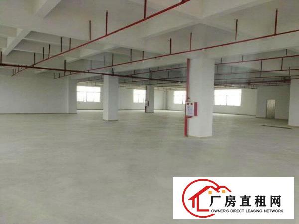  可办环评！实际面积！原房东1900平方层全新重工厂房出租啦！